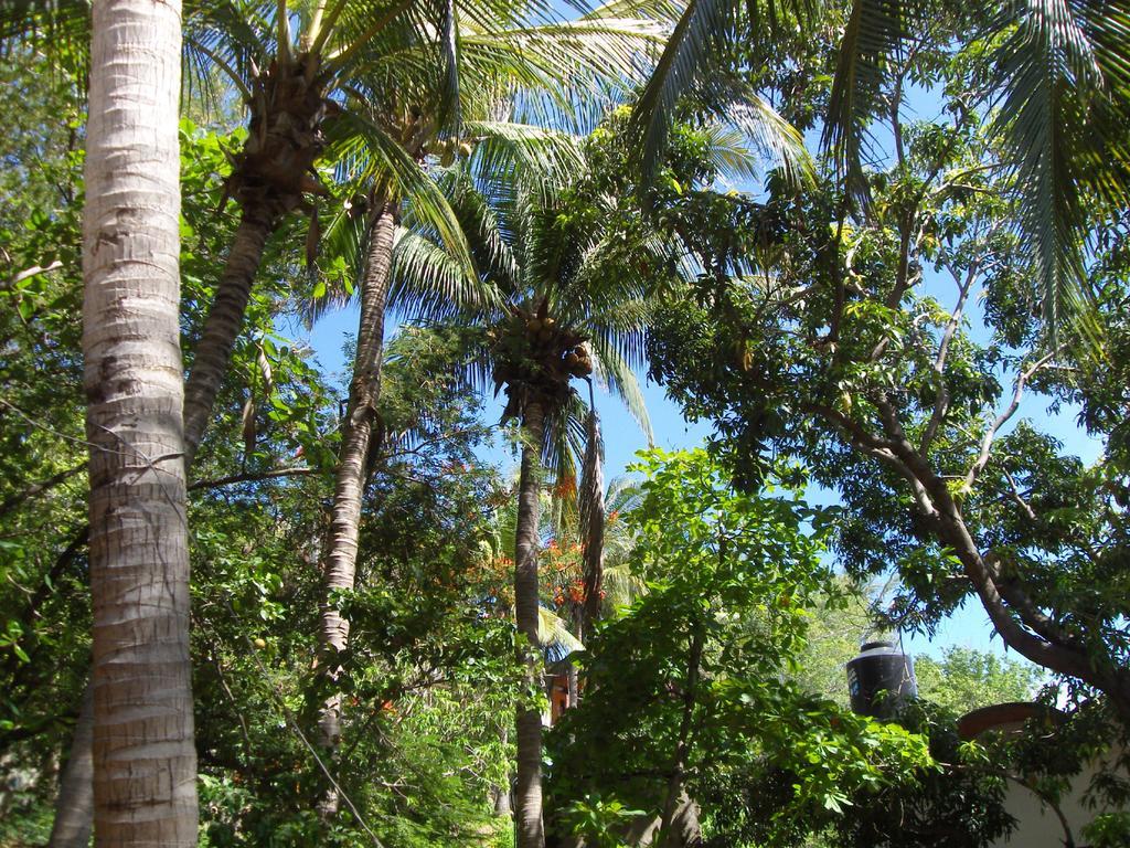 El Almendro Hotel Puerto Ángel Exterior foto